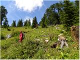 Rudno polje - Debeli vrh above Lipanca